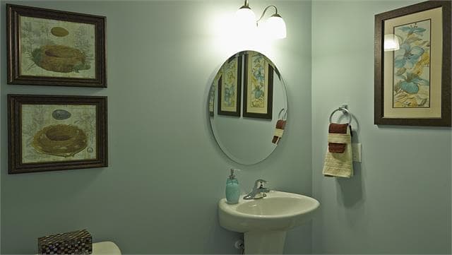 hero-image-11