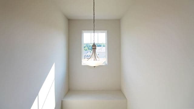 hero-image-36