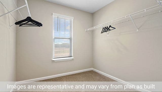 hero-image-24