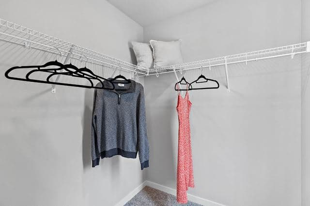 hero-image-21