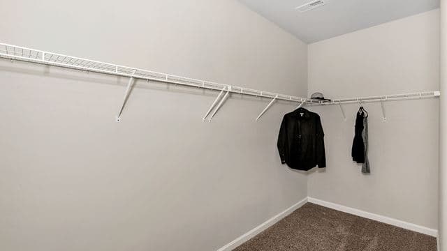 hero-image-23