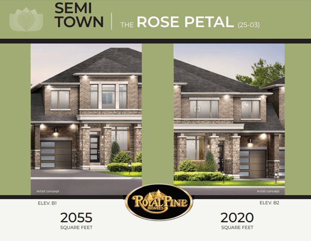 images-THE ROSE PETAL B1