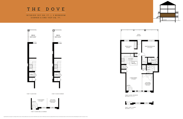 images-The Dove