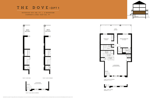 images-The Dove - Opt 1