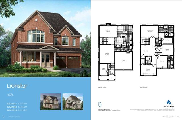 images-Lionstar (5B) B