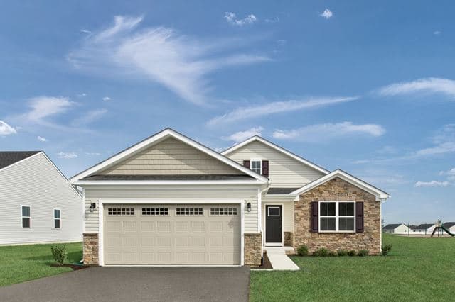 hero-image-1