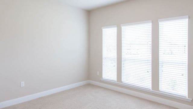 hero-image-8
