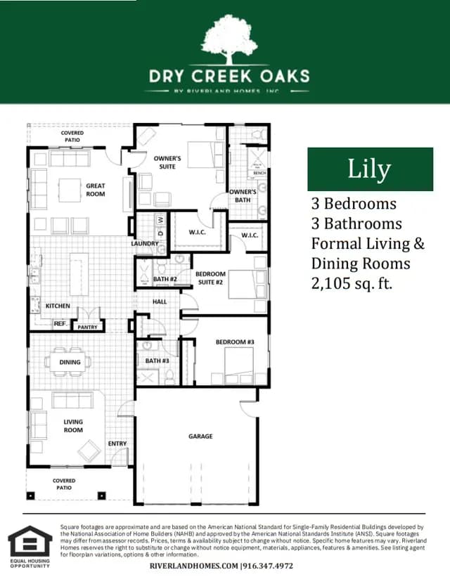 images- Lily