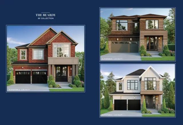 images-The Beardy - Elev. B