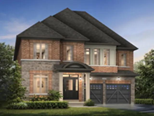 images-Beech - Elev. B