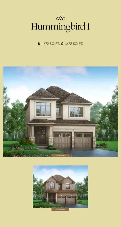 images-Hummingbird 1 - Elev. C