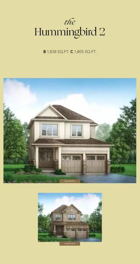 images-Hummingbird 2 - Elev. C