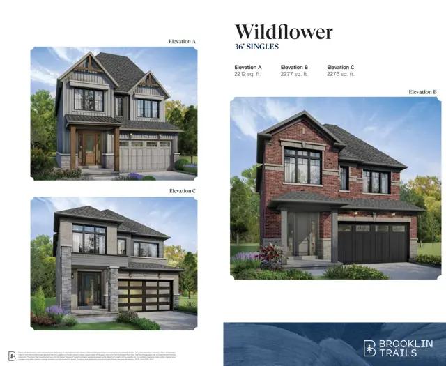 images-Wildflower - Elev. C