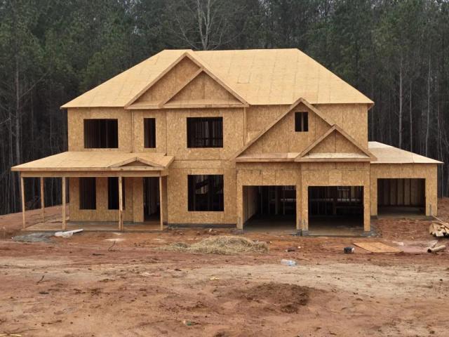 images-3261 Lions Ruby Lane