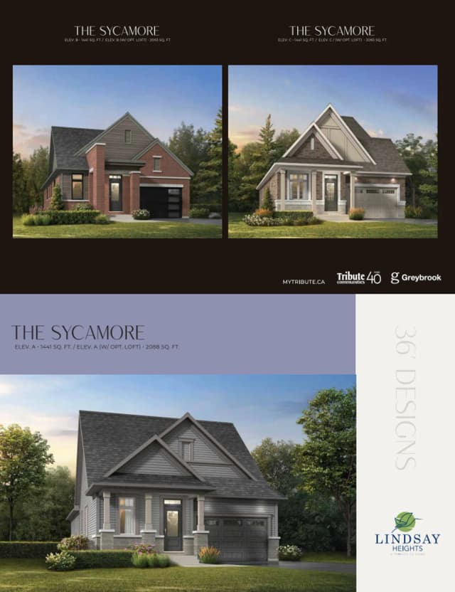images-The Sycamore C