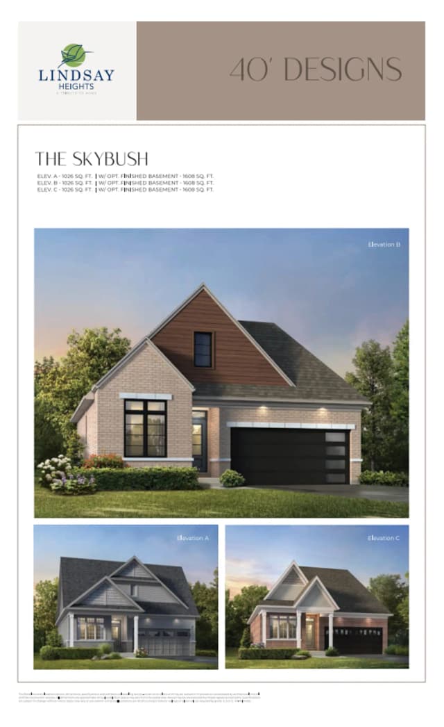 images-The Skybush B