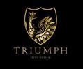 images-Triumph Fine Homes