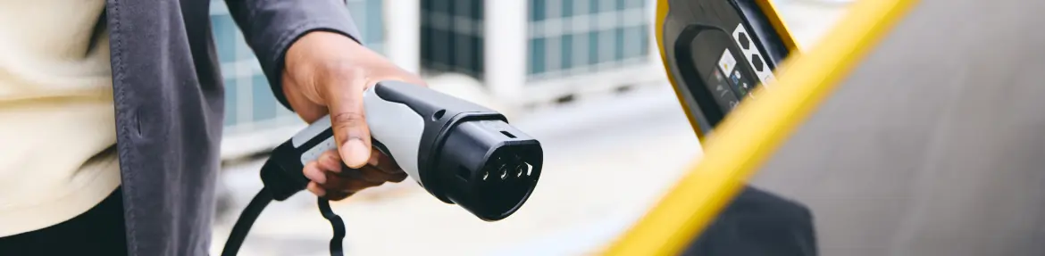 images-Services & more