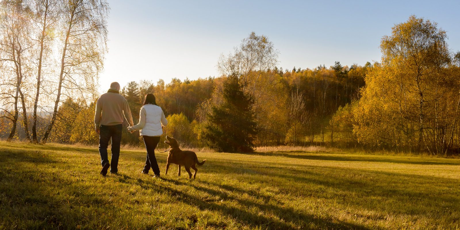 images-Parks & nature