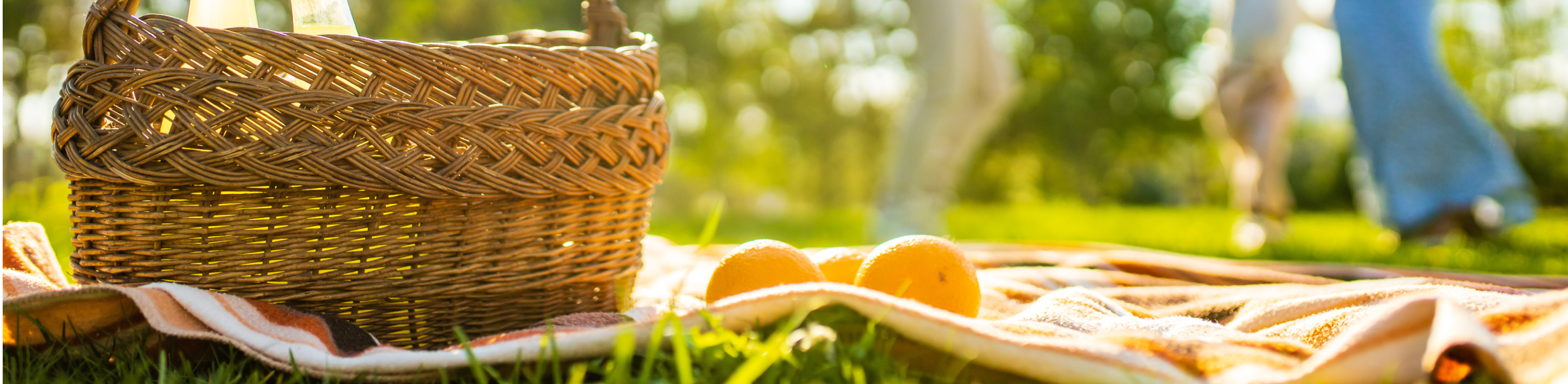 images-Parks & nature