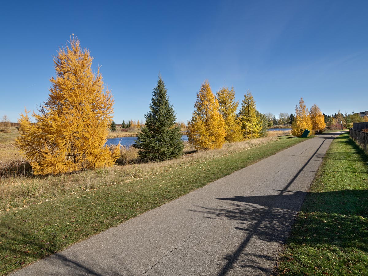 images-Parks & nature