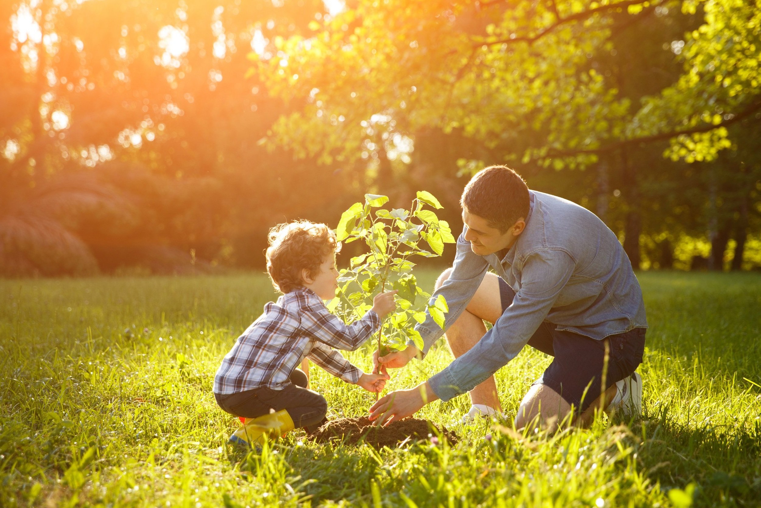 images-Parks & nature