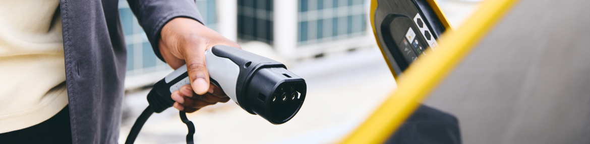 images-Services & more