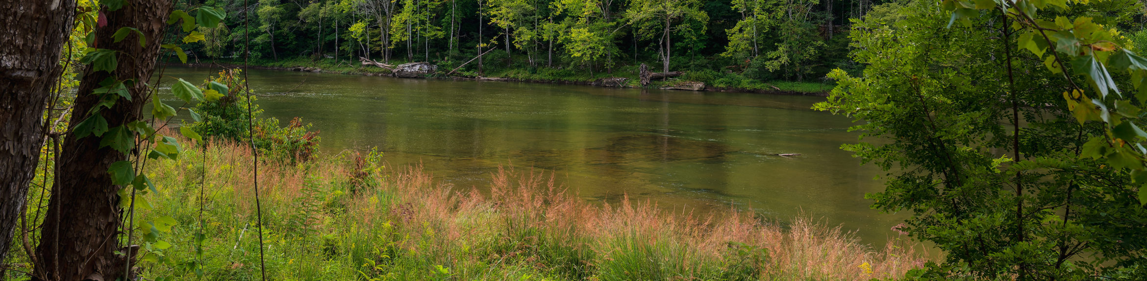 images-Parks & nature