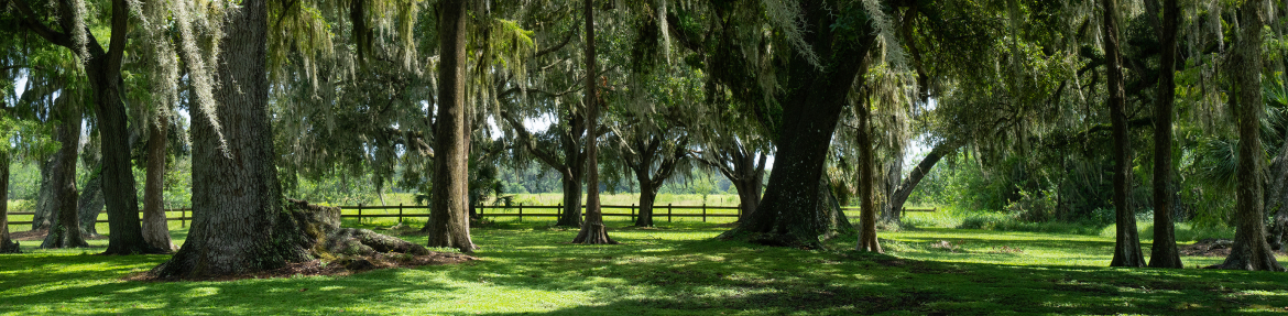 images-Parks & nature