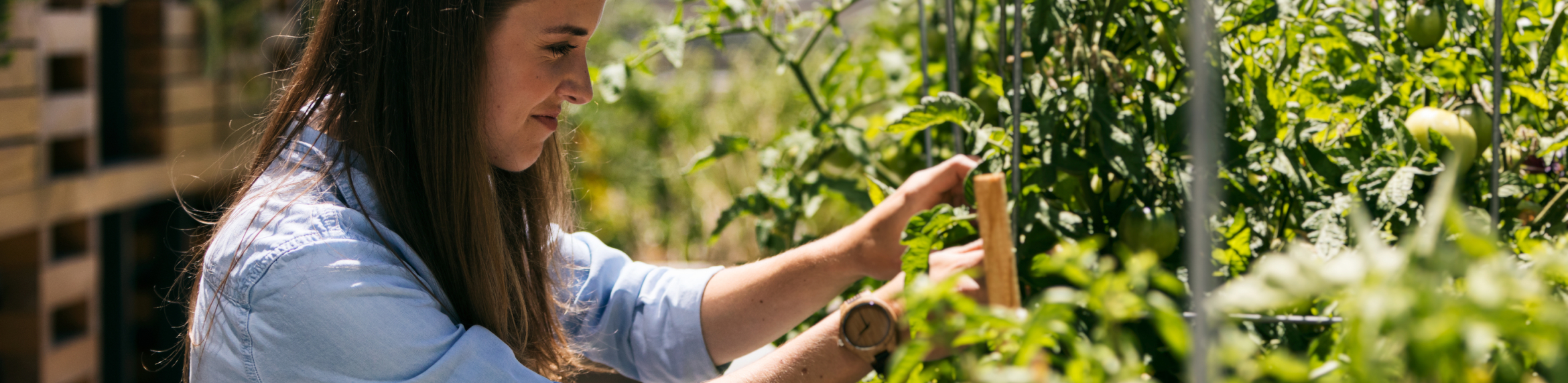 images-Services & more