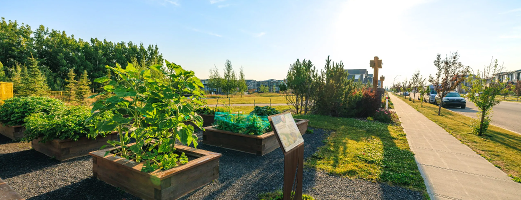 images-Services & more