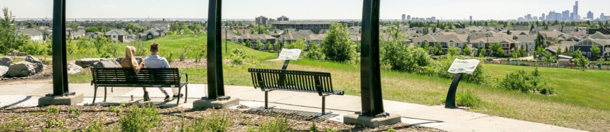 images-Services & more