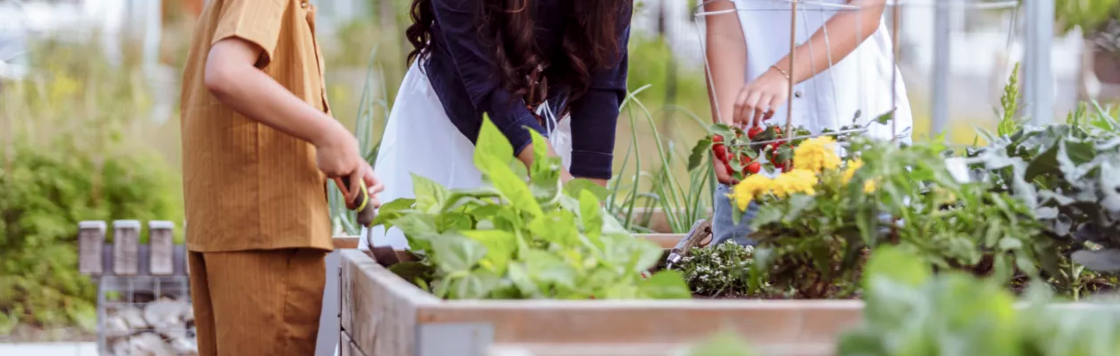 images-Parks & nature