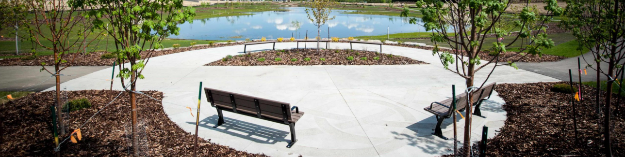 images-Services & more