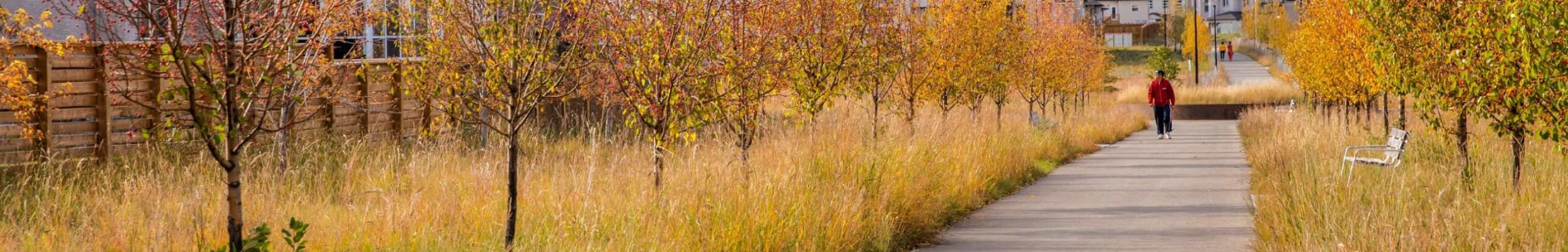 images-Parks & nature