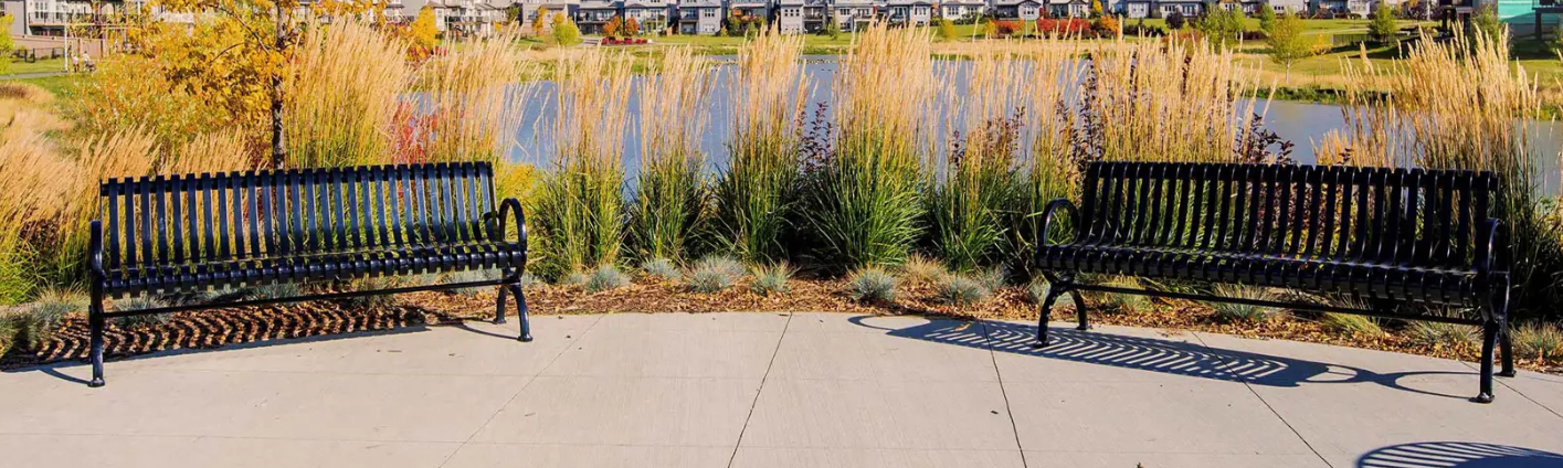 images-Services & more