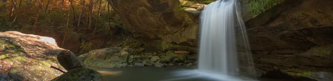 images-Parks & nature