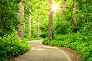 images-Woodforest Huntington: 85ft. lots