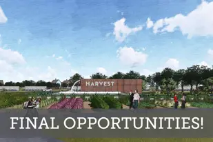 images-Harvest - Orchard Collection