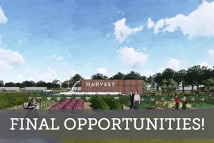 images-Harvest - Saddlestone Collection