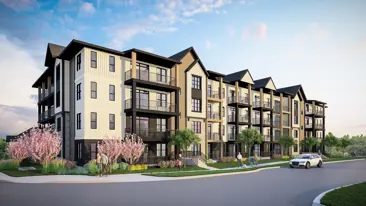 images-Sage Walk Bridges - Alexandra