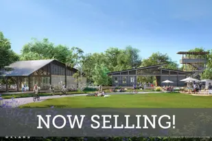 images-Painted Tree Woodland West Village