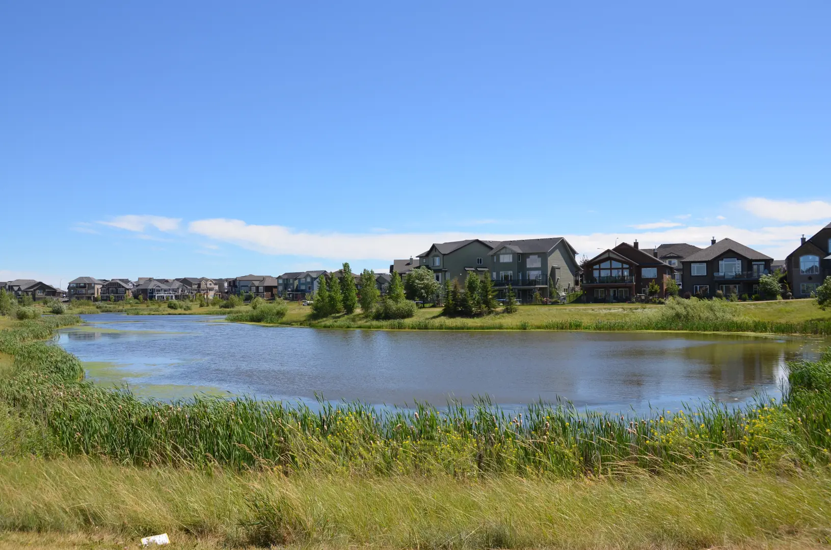 welcome image banner