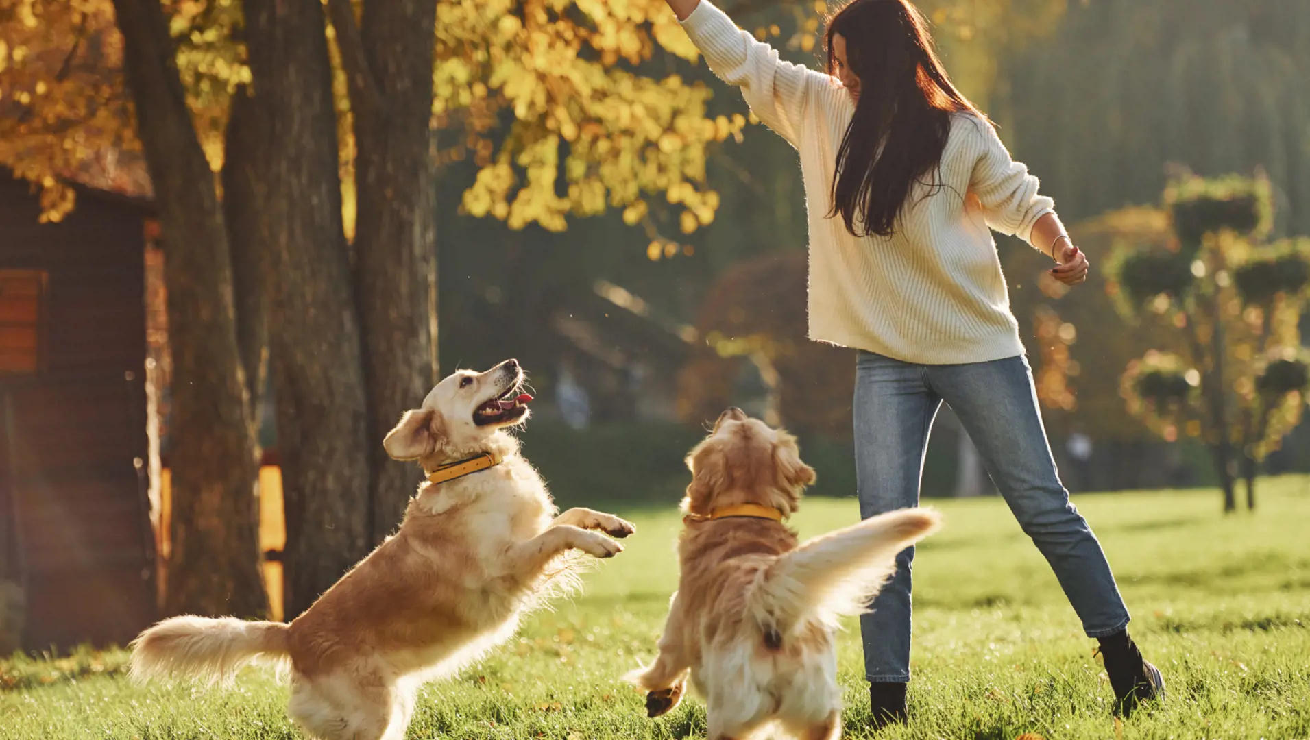 welcome image banner