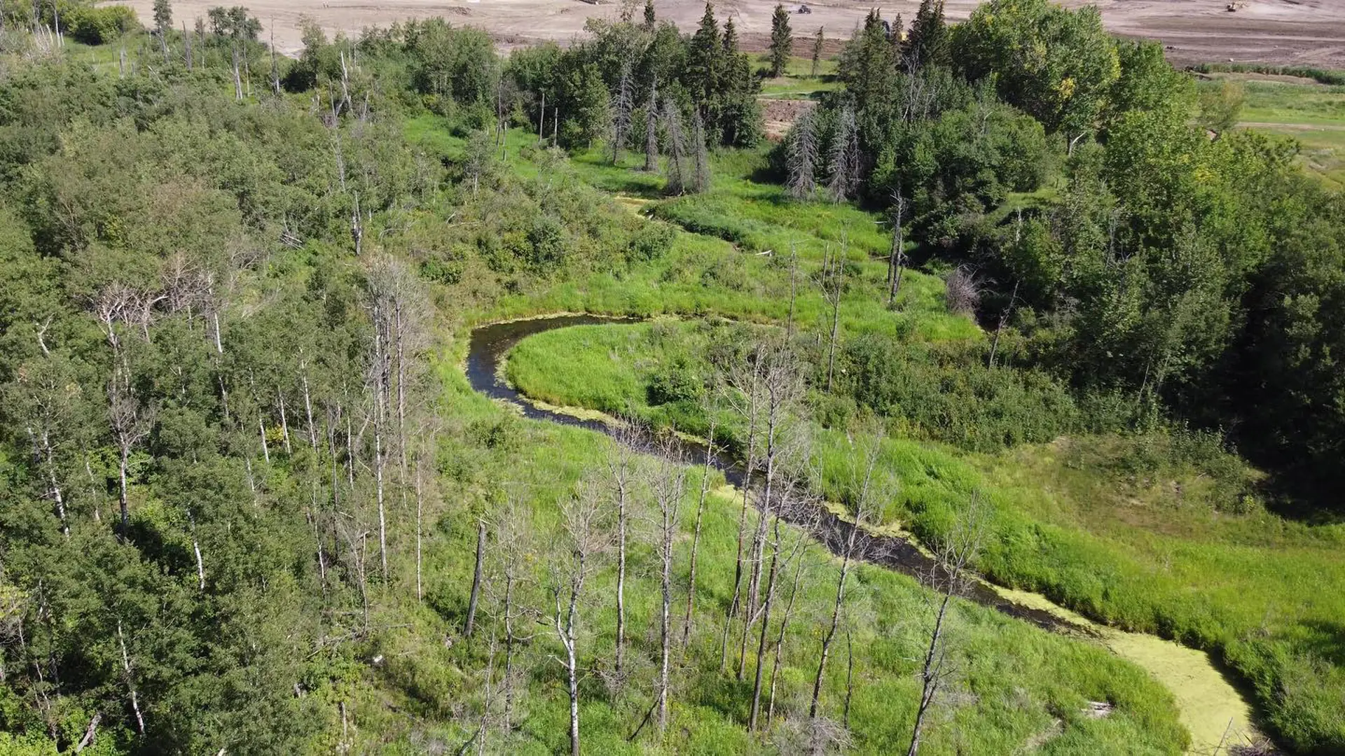 welcome image banner