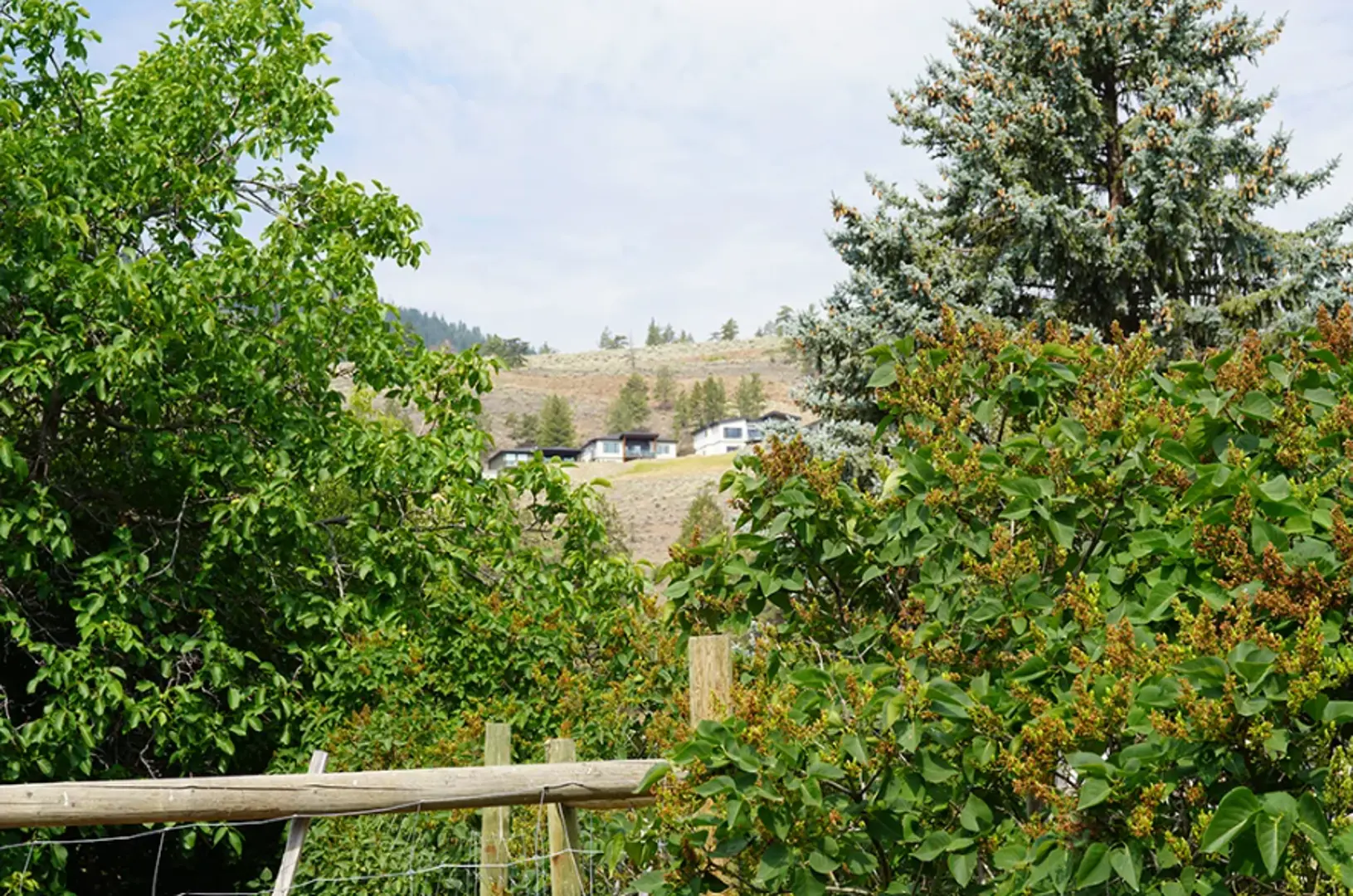 welcome image banner