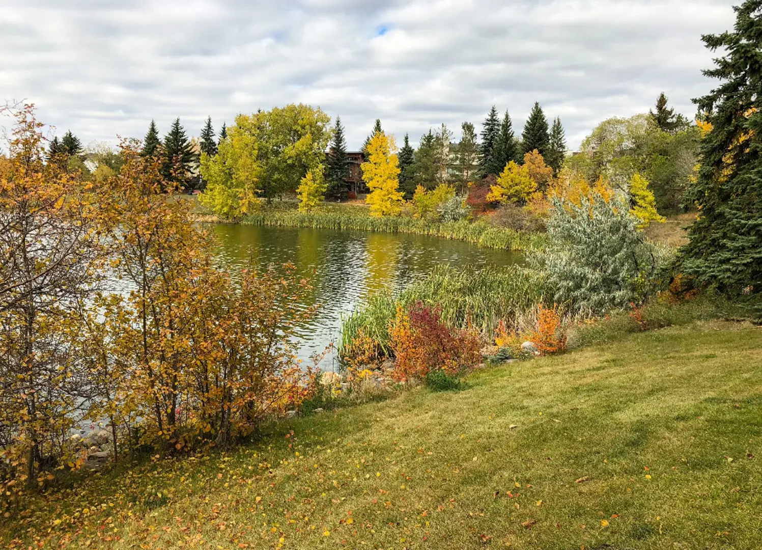 welcome image banner