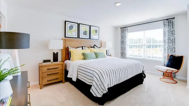 hero-image-24