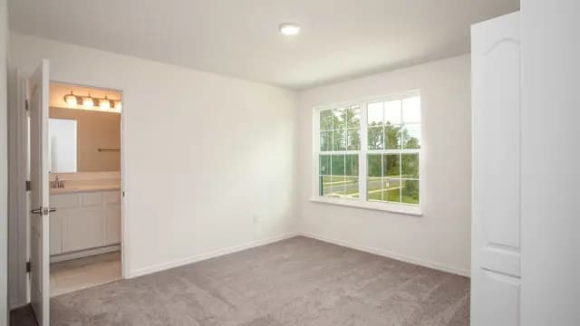 hero-image-24