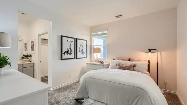 hero-image-56